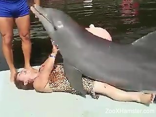 Не приближайся к ним! Странные сексуальные пристрастия дельфинов