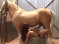 Животное конь трахает женщину на ферме