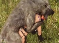 Жесткий 3D трах волк дрючит секси шлюху