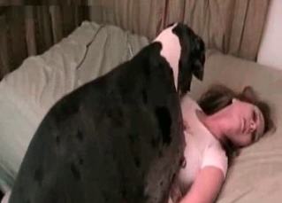 Зоофильная женщина чувствуя удовольствие собакой в постели
